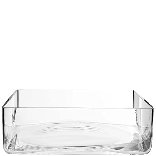 BUTLERS Pool quadratische Schale - Schalen- Vase aus Glas | Quadratische Glasschale | für Blumen & Allerlei von BUTLERS