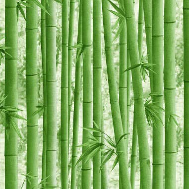 BUVU Vinyltapete 0.53x10m Blumendekor, Bambus modernes Design, Abwaschbare, Grün von BUVU