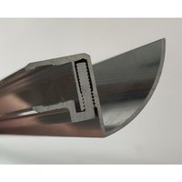 Buylando - Regenrinne für Vordach 200cm Silber 10,8-17,5mm Buylando - Regenrinne für Vordach 200cm Silber 10,8-17,5mm von BUYLANDO