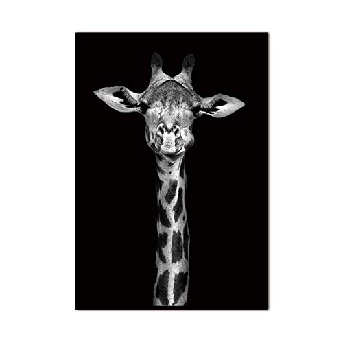 Bilder Auf Leinwand,Schwarze Und Weiße Tier Giraffe, Mode Dekor Leinwand Gemälde Kunstdruck Poster Bild Wand Schlafzimmer Wohnzimmer Dekoration Malerei Wandbild, 70 X 100 cm von BUZHIA