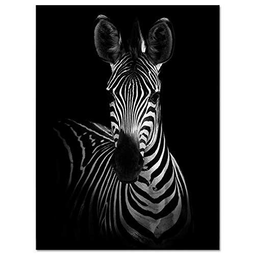 Bilder Auf Leinwand,Schwarze Und Weiße Tier Zebra, Fashion Dekor Leinwand Gemälde Kunstdruck Poster Bild Wand Schlafzimmer Wohnzimmer Dekoration Malerei Wandbild von BUZHIA