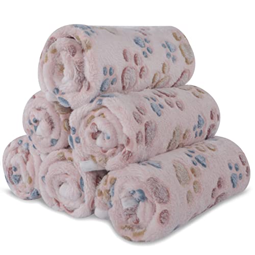 BVAGSS 6 Stück Kleine Flauschige Hundedecke, Weich mit Fleece Flanell Haustier Decken für Kleine Mittlere Hunde Katzen Warmer und bequemer Schlaf XH075 (76 x 52 cm, Beige) von BVAGSS