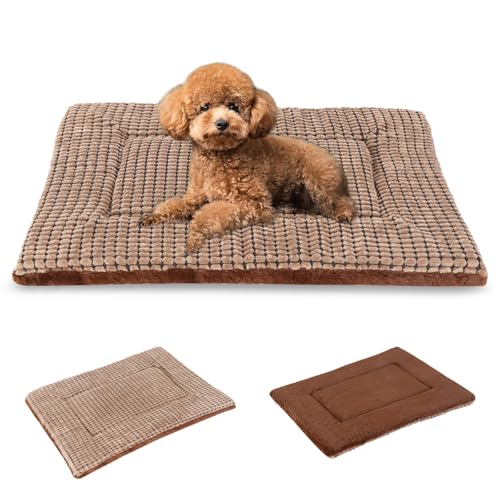 BVAGSS Orthopädisches Hundebett, Waschbar Hundekissen flauschig Hundematte, Umkehrbar Weiche und Warme Hundematte für klein mittel große Hunde XH079 (60x45x4cm,Brown) von BVAGSS