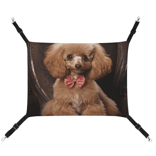 BVNMT Haustierhängematte aus bedrucktem Segeltuch mit Pudelmotiv, atmungsaktiv und faltbar, für Katzen, Hunde und kleine Haustiere, ideal für Zuhause, Reisen und Haustierkrankenhaus – 42 x 33 x 20 cm BVNMT Haustierhängematte aus bedrucktem Segeltuch mit Pudelmotiv, atmungsaktiv und faltbar, für Katzen, Hunde und kleine Haustiere, ideal für Zuhause, Reisen und Haustierkrankenhaus – 42 x 33 x 20 cm von BVNMT