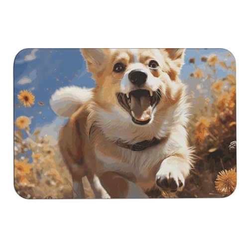 BVNMT Wasserabsorbierende Matte mit Corgi-Druck, rutschfeste Bodenmatte, Kieselgur für drinnen und draußen, 60 x 40 cm von BVNMT
