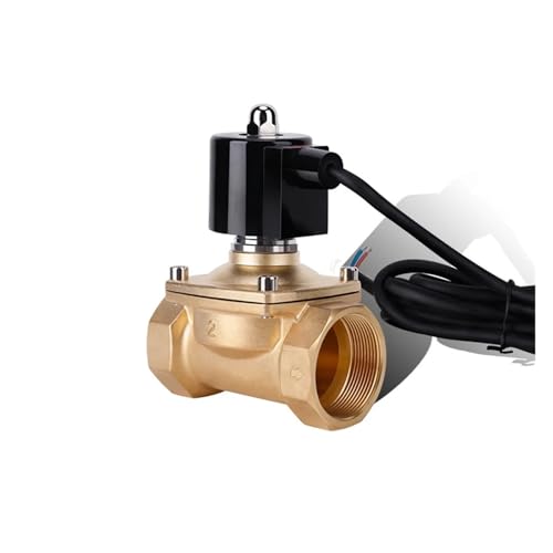2 "normalerweise geschlossenes Messing IP68 wasserdichtes Brunnen-Magnetventil 110 V 24 V 12 V 24 V Unterwasser-Magnetventil NPT-Gewinde(NPT-24VAC-VITON-SEAL) von BVTUCMDY