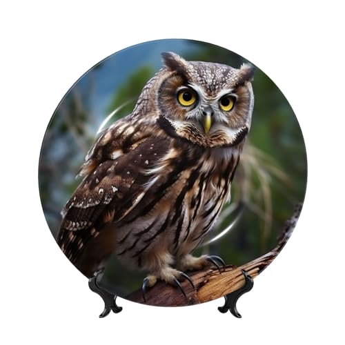 BWLHJKE Dekorativer Teller aus Knochenporzellan mit Bild, Motiv: Wildeule, Vögel, personalisierbar, Porzellanteller mit Präsentationsständer, dekorative Keramikplatte für Wandbehang, Ornament, 20,3 cm von BWLHJKE