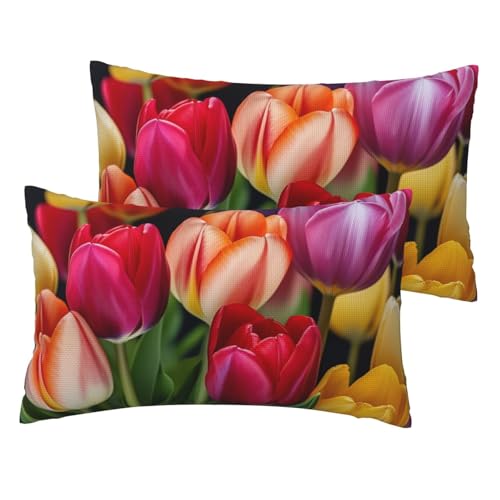 Französische Leinen-Kissenbezüge, 2er-Set, Blumen-Kissenbezüge, Standardgröße 30,5 x 50,8 cm, atmungsaktiv und kühlend, für alle Jahreszeiten, weiche Kissenbezüge mit Reißverschluss von BWLHJKE