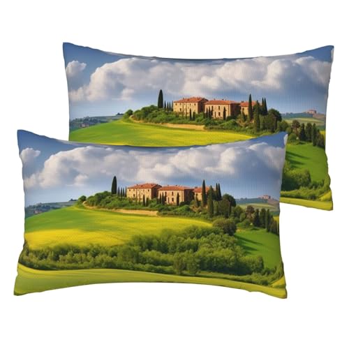 Französische Leinen-Kissenbezüge, 2er-Set, Frühlings-Kissenbezüge, Standardgröße 30,5 x 50,8 cm, atmungsaktiv und kühlend, für alle Jahreszeiten, weiche Kissenbezüge mit Reißverschluss Französische Leinen-Kissenbezüge, 2er-Set, Frühlings-Kissenbezüge, Standardgröße 30,5 x 50,8 cm, atmungsaktiv und kühlend, für alle Jahreszeiten, weiche Kissenbezüge mit Reißverschluss von BWLHJKE