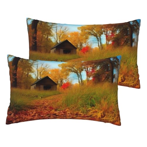 Französische Leinen-Kissenbezüge, 2er-Set, Galerie für den Herbst, Standardgröße, 30,5 x 50,8 cm, atmungsaktiv und kühlend, für alle Jahreszeiten, weiche Kissenbezüge mit Reißverschluss von BWLHJKE