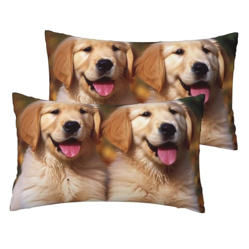 Französische Leinen-Kissenbezüge, 2er-Set, Golden Retriever, Hunde, Welpen, Haustiere, Standardgröße, 30,5 x 50,8 cm, atmungsaktiv und kühlend, für alle Jahreszeiten, weiche Kissenbezüge mit von BWLHJKE