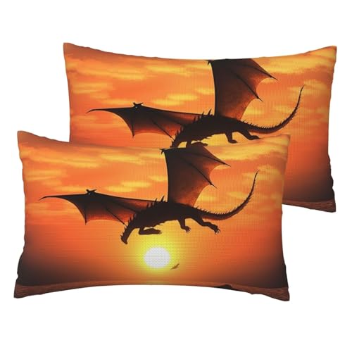 Französische Leinen-Kissenbezüge, 2er-Set, Motiv: fliegender Drache, Sonnenuntergang, Standardgröße 30,5 x 50,8 cm, atmungsaktiv und kühlend, für alle Jahreszeiten, weiche Kissenbezüge mit von BWLHJKE
