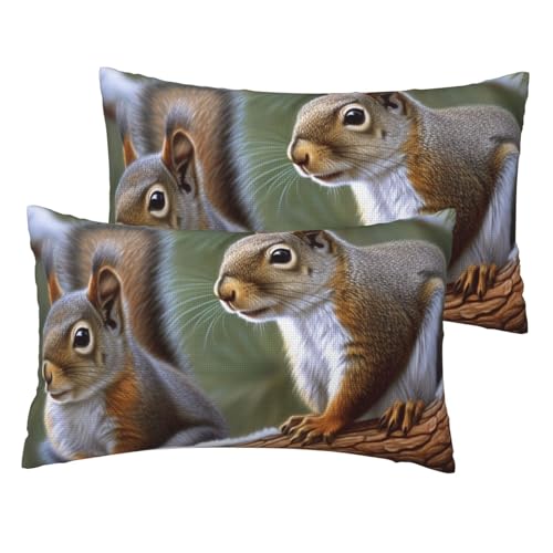 Französische Leinen-Kissenbezüge, 2er-Set, kleines Eichhörnchen, Standardgröße 30,5 x 50,8 cm, atmungsaktiv und kühlend, für alle Jahreszeiten, weiche Kissenbezüge mit Reißverschluss von BWLHJKE