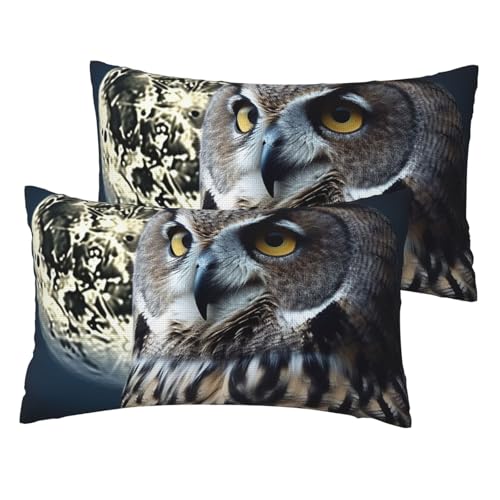 Kissenbezüge aus französischem Leinen, 2er-Set, Eule und Mond, Standardgröße 30,5 x 50,8 cm, atmungsaktiv und kühlend, für alle Jahreszeiten, weiche Kissenbezüge mit Reißverschluss Kissenbezüge aus französischem Leinen, 2er-Set, Eule und Mond, Standardgröße 30,5 x 50,8 cm, atmungsaktiv und kühlend, für alle Jahreszeiten, weiche Kissenbezüge mit Reißverschluss von BWLHJKE