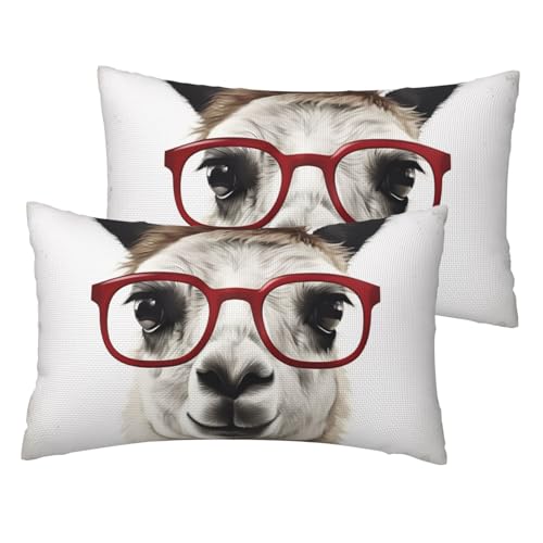 Kissenbezüge aus französischem Leinen, 2er-Set, Lama mit Brille, Standardgröße, 30,5 x 50,8 cm, atmungsaktiv und kühlend, für alle Jahreszeiten, weiche Kissenbezüge mit Reißverschluss Kissenbezüge aus französischem Leinen, 2er-Set, Lama mit Brille, Standardgröße, 30,5 x 50,8 cm, atmungsaktiv und kühlend, für alle Jahreszeiten, weiche Kissenbezüge mit Reißverschluss von BWLHJKE