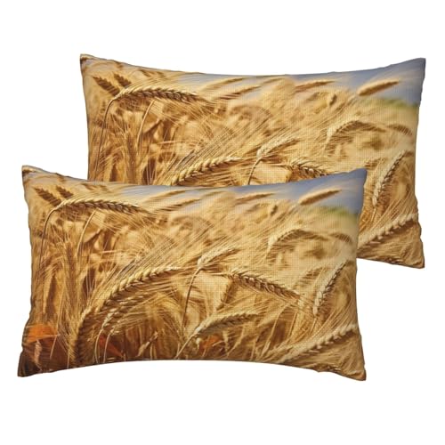 Kissenbezüge aus französischem Leinen, 2er-Set, Weizenernte, Standardgröße, 30,5 x 50,8 cm, atmungsaktiv und kühlend, für alle Jahreszeiten, weiche Kissenbezüge mit Reißverschluss Kissenbezüge aus französischem Leinen, 2er-Set, Weizenernte, Standardgröße, 30,5 x 50,8 cm, atmungsaktiv und kühlend, für alle Jahreszeiten, weiche Kissenbezüge mit Reißverschluss von BWLHJKE