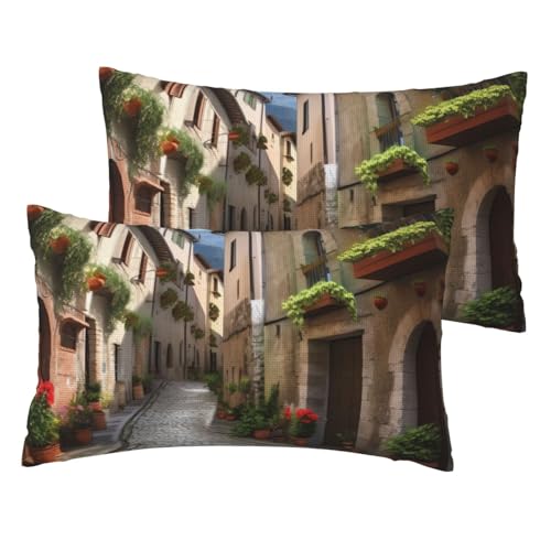 Kissenbezüge aus französischem Leinen, 2er-Set, italienische Stadtstraße, Standardgröße, 30,5 x 50,8 cm, atmungsaktiv und kühlend, für alle Jahreszeiten, weiche Kissenbezüge mit Reißverschluss von BWLHJKE