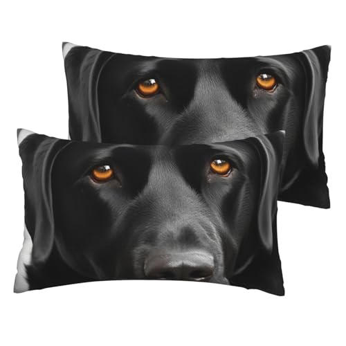 Kissenbezüge aus französischem Leinen, 2er-Set, schwarz, Standardgröße 30,5 x 50,8 cm, atmungsaktiv und kühlend, für alle Jahreszeiten, weiche Kissenbezüge mit Reißverschluss Kissenbezüge aus französischem Leinen, 2er-Set, schwarz, Standardgröße 30,5 x 50,8 cm, atmungsaktiv und kühlend, für alle Jahreszeiten, weiche Kissenbezüge mit Reißverschluss von BWLHJKE