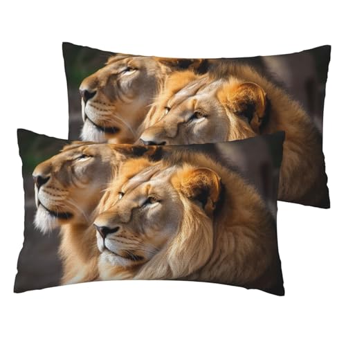 Kissenbezüge aus französischem Leinen, 2er-Set, zwei Löwen, Standardgröße 30,5 x 50,8 cm, atmungsaktiv und kühlend, für alle Jahreszeiten, weiche Kissenbezüge mit Reißverschluss von BWLHJKE