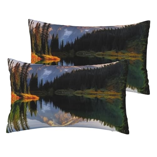 Kissenbezüge aus französischem Leinen, Motiv: Berg- und See-Bilder, Standardgröße, 30,5 x 50,8 cm, atmungsaktiv und kühlend, für alle Jahreszeiten, weiche Kissenbezüge mit Reißverschluss, 2 Stück von BWLHJKE