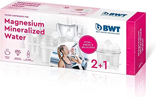 BWT FILTRO Pack 2+1 LONGLIFE, Varios, 2 Stück (1er, 3 von BWT