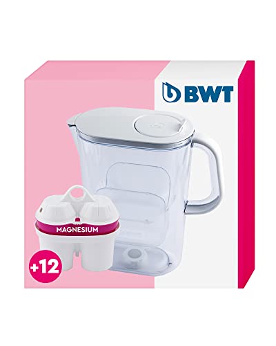 BWT Wasserfilter AQUAlizer 2,6L + 12 Magnesium Filterkartuschen | Wasserfilter Trinkwasser | Jahrespaket | Filtert Kalk, Chlor, Blei & Kupfer von BWT