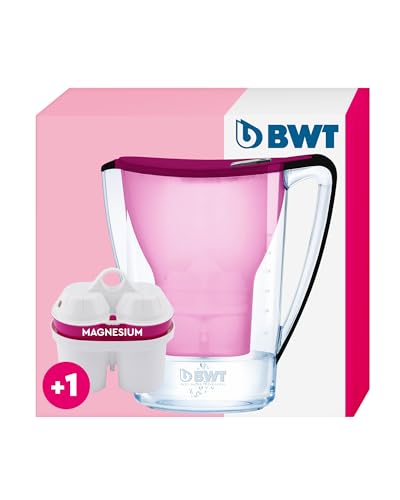 BWT Wasserfilter AQUAlizer Home inkl. 1 Filterkartusche Aubergine 2,7L | Filter mit 1 Magnesium Filterkartusche | Wasserfilter Trinkwasser | Filtert Kalk, Chlor, Blei & Kupfer von BWT