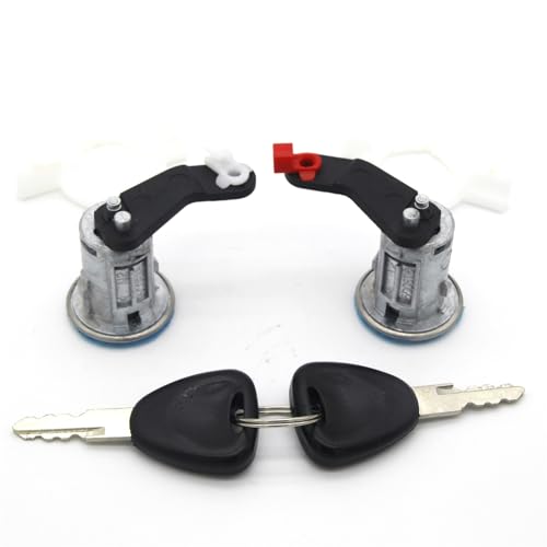 BWZJS TÜRSCHLOSS VORNE LINKS UND RECHTS, für, for Vauxhall, Movano 1998-2010 7701470944 Autotürschloss von BWZJS