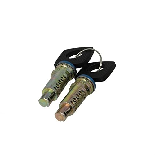 BWZJS ZWEI STÜCK TÜRSCHLOSSZÄHNE MIT 2 GLEICHEN SCHLÜSSELN, for VW, LT, for, SPRINTER VITO W638, JEDE TÜR 6707600205 Autotürschloss von BWZJS