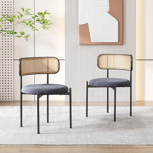 BXEYXE Samt-Esszimmerstuhl,2er Set, moderner, einfacher Freizeitstuhl mit Vier Stützbeinen aus Metall, Rattan-Freizeitstuhl, Wohnzimmer- und Schlafzimmerstuhl, Grau BXEYXE Samt-Esszimmerstuhl,2er Set, moderner, einfacher Freizeitstuhl mit Vier Stützbeinen aus Metall, Rattan-Freizeitstuhl, Wohnzimmer- und Schlafzimmerstuhl, Grau von BXEYXE