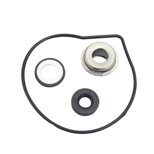 BXNLY Motorrad Dichtung Wasserpumpen-Gleitringdichtungssatz Für Kawasaki ZX-10R ZX10R 2004 2005 2006-2010 ZZR1400 2006 2007 2008 2009 2010 2011 Dichtung O-Ring-Dichtungen von BXNLY