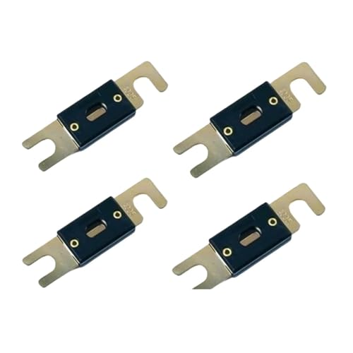 10PCS Sicherung 150A 160A 175A 200A 250A 275A 300A 350A 400A 450A 500A 600A AML Schmelzsicherung Auto Flachsicherung(150A) von BYINGS