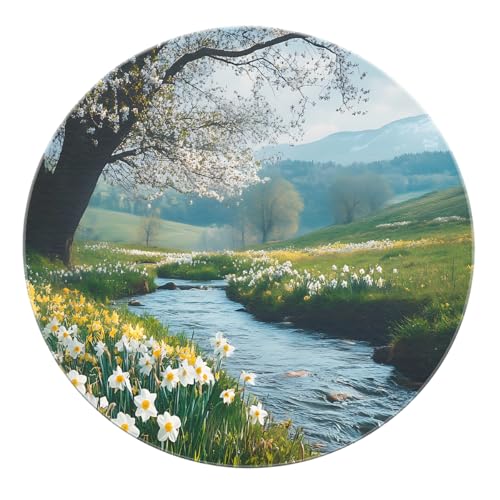 BYLEEHOMED Weicher flachfloriger runder Teppich mit Frühling Wildblumenbach Design Country Hills maschinenwaschbarer Kreisteppich für Schlafzimmer Küche 180 cm von BYLEEHOMED