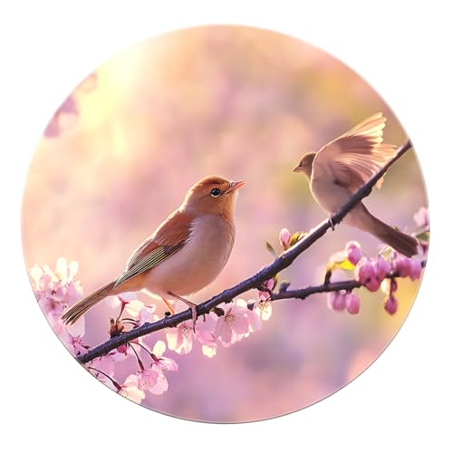 Boho Vogel rutschfeste runde Teppiche 150 cm 2 süße Vögel auf einem Pfirsichblütenzweig Druck Kreis Teppich für den Eingang Terrasse stark frequentierte Bereiche von BYLEEHOMED