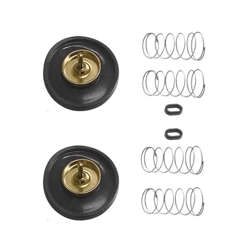 BYLKFC Vergaser-Umbauteile Vergaser-Reparatursatz Für XL600V TRANSALP PD06 XL 600 V 600V PD 06 Motor Vergaserheizung Reparatursatz Vergaser-Reparaturwerkzeug Vergaser Reparatursatz Set(Satz 5) BYLKFC Vergaser-Umbauteile Vergaser-Reparatursatz Für XL600V TRANSALP PD06 XL 600 V 600V PD 06 Motor Vergaserheizung Reparatursatz Vergaser-Reparaturwerkzeug Vergaser Reparatursatz Set(Satz 5) von BYLKFC