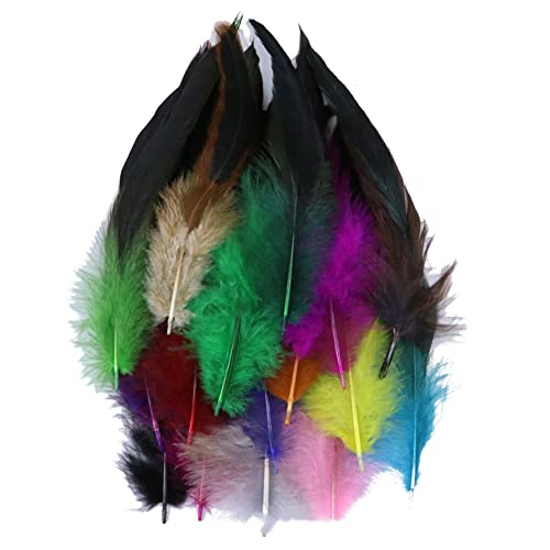 BYNYXI 100 Stück Fasanenfeder, 14cm-20cm Hahnfeder Fasanenfedern Truthahn Federn Natur Vogelfeder Fasan Schwanzfedern Natural Craft Feather Künstliche Federn DIY Deko Federn für Basteln Zuhause Dekor von BYNYXI