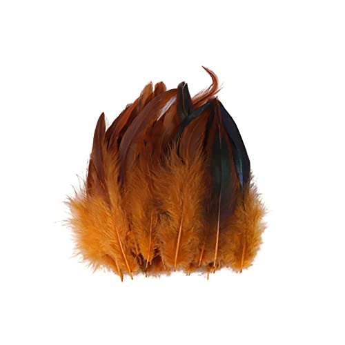 100 Stück Fasanenfeder, 14cm-20cm Hahnfeder Fasanenfedern Truthahn Federn Natur Vogelfeder Fasan Schwanzfedern Natural Craft Feather Künstliche Federn DIY Deko Federn für Basteln Zuhause Dekor von BYNYXI