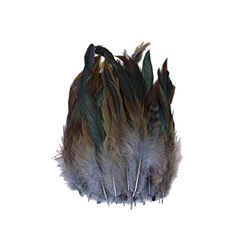 BYNYXI 100 Stück Fasanenfeder, 14cm-20cm Hahnfeder Fasanenfedern Truthahn Federn Natur Vogelfeder Fasan Schwanzfedern Natural Craft Feather Künstliche Federn DIY Deko Federn für Basteln Zuhause Dekor von BYNYXI