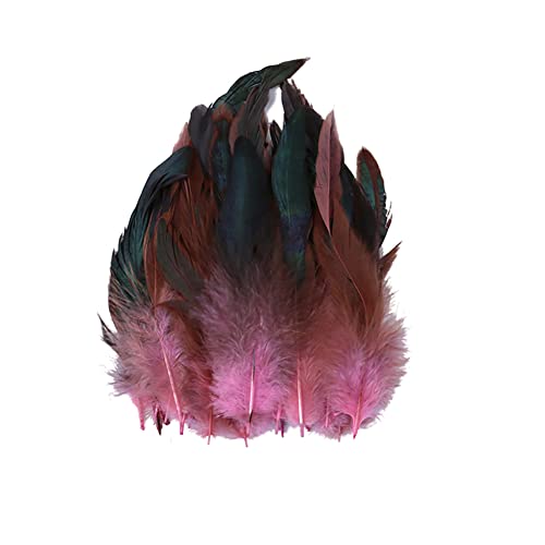 BYNYXI 100 Stück Fasanenfeder, 14cm-20cm Hahnfeder Fasanenfedern Truthahn Federn Natur Vogelfeder Fasan Schwanzfedern Natural Craft Feather Künstliche Federn DIY Deko Federn für Basteln Zuhause Dekor von BYNYXI