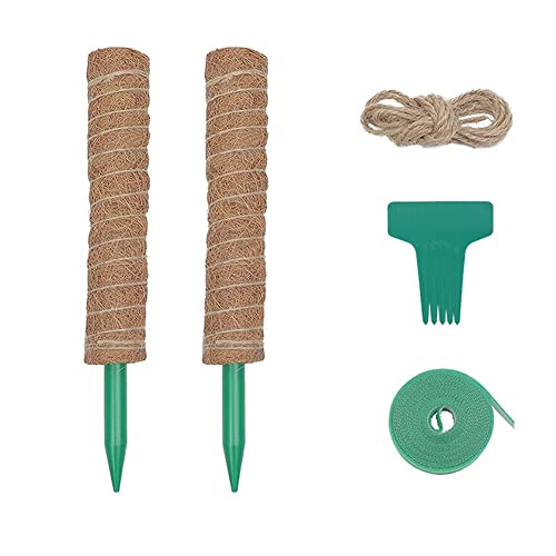 2 Stück Pflanzstab Monstera, 40cm Kokos Moosstab Monstera Pflanzenstütze Moosstange Pflanze Rankhilfen Kokosstab für Zimmerpflanzen Kokos Pflanzstab mit 5 Pflanzenanhängern Klebestreifen Hanfseil von BYNYXI