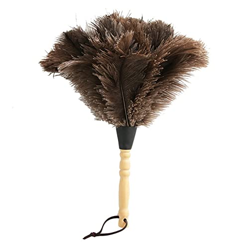 BYNYXI 2 Stück Straußenstaubwedel, 34cm Strauß Staubwedel mit Straußenfedern Buchenholzgriff und Teleskop Stiel Künstliche Feder Staubwedel Ostrich Feather Duster für Zimmer Wohnzimmer von BYNYXI