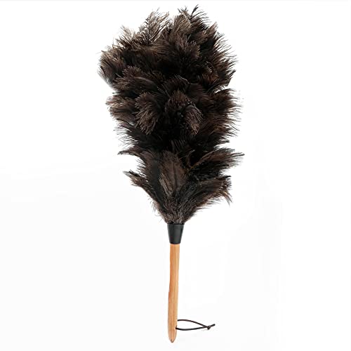 BYNYXI 38cm Straußenstaubwedel, 2 Stück Strauß Staubwedel mit Straußenfedern Buchenholzgriff und Teleskop Stiel Künstliche Feder Staubwedel Ostrich Feather Duster für Zimmer Wohnzimmer von BYNYXI