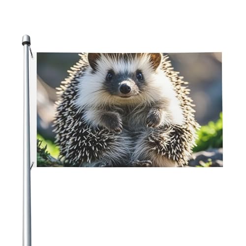 Gartenflagge, Igel, sitzend, 90 x 150 cm, kein Verblassen, doppelseitige Hausflaggen, Outdoor-Banner, Dekoration für Innenhof, Veranda, Rasen Gartenflagge, Igel, sitzend, 90 x 150 cm, kein Verblassen, doppelseitige Hausflaggen, Outdoor-Banner, Dekoration für Innenhof, Veranda, Rasen von BYPPJGH