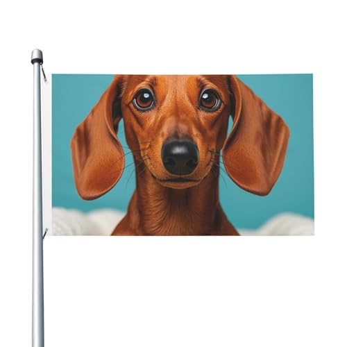 Gartenflagge mit Dackel-Motiv, 90 x 150 cm, kein Verblassen, doppelseitig, für Haus, Hof, Veranda, Rasen von BYPPJGH