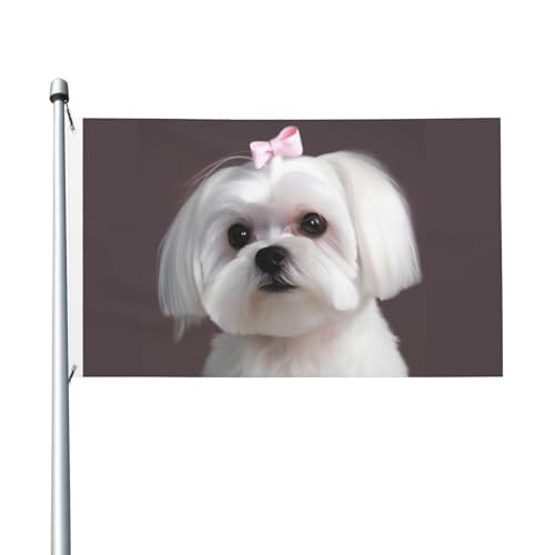Gartenflagge mit schönem maltesischem Hund, 90 x 150 cm, kein Verblassen, doppelseitige Hausflaggen, Outdoor-Banner, Dekoration für Innenhof, Veranda, Rasen Gartenflagge mit schönem maltesischem Hund, 90 x 150 cm, kein Verblassen, doppelseitige Hausflaggen, Outdoor-Banner, Dekoration für Innenhof, Veranda, Rasen von BYPPJGH
