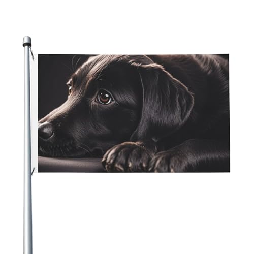 Gartenflagge mit schwarzem Labrador, 90 x 150 cm, kein Verblassen, doppelseitige Hausflaggen, Outdoor-Banner, Dekoration für Innenhof, Veranda, Rasen Gartenflagge mit schwarzem Labrador, 90 x 150 cm, kein Verblassen, doppelseitige Hausflaggen, Outdoor-Banner, Dekoration für Innenhof, Veranda, Rasen von BYPPJGH