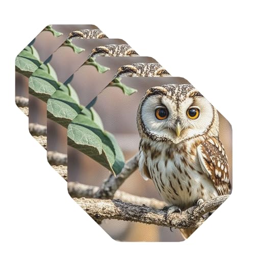 Kaffeebohnen-Eulen-Untersetzer für Getränke, 4 Stück, Leder, Teetassen-Untersetzer, Getränkeuntersetzer für Tasse, Küche, Bar, Heimdekoration, Einweihungsgeschenk Kaffeebohnen-Eulen-Untersetzer für Getränke, 4 Stück, Leder, Teetassen-Untersetzer, Getränkeuntersetzer für Tasse, Küche, Bar, Heimdekoration, Einweihungsgeschenk von BYPPJGH