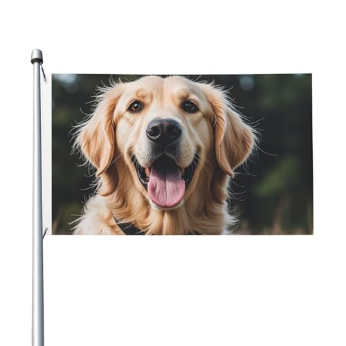 Lustige Golden Retriever-Willkommens-Gartenflagge, 90 x 150 cm, kein Verblassen, doppelseitige Hausflaggen, Outdoor-Banner, Dekoration für Innenhof, Veranda, Rasen Lustige Golden Retriever-Willkommens-Gartenflagge, 90 x 150 cm, kein Verblassen, doppelseitige Hausflaggen, Outdoor-Banner, Dekoration für Innenhof, Veranda, Rasen von BYPPJGH