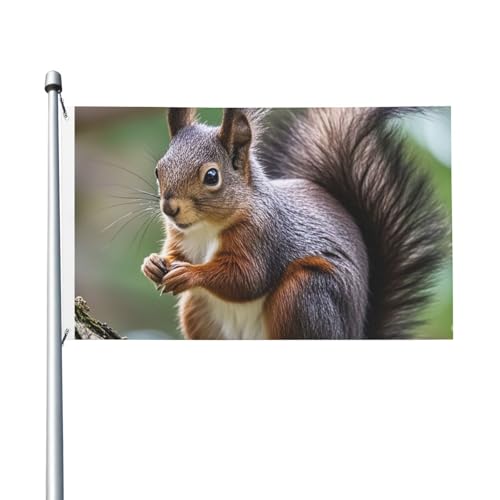 Niedliche Eichhörnchen-Gartenflagge, 90 x 150 cm, kein Verblassen, doppelseitige Hausflaggen, Outdoor-Banner, Dekoration für Innenhof, Veranda, Rasen Niedliche Eichhörnchen-Gartenflagge, 90 x 150 cm, kein Verblassen, doppelseitige Hausflaggen, Outdoor-Banner, Dekoration für Innenhof, Veranda, Rasen von BYPPJGH