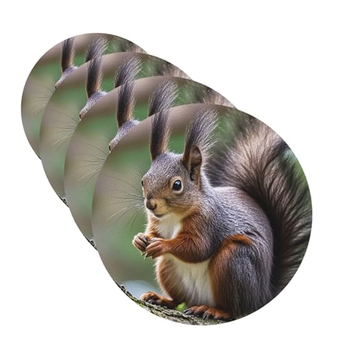 Niedliche Eichhörnchen-Untersetzer für Getränke, 4 Stück, Leder, Teetassen-Untersetzer, Getränkeuntersetzer für Tasse, Küche, Bar, Heimdekoration, Einweihungsgeschenk von BYPPJGH